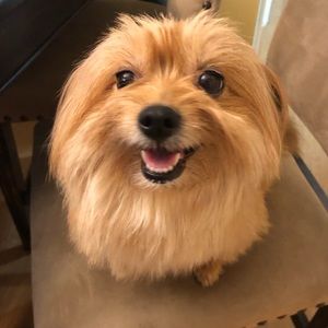 Meet your Posher, Charynna